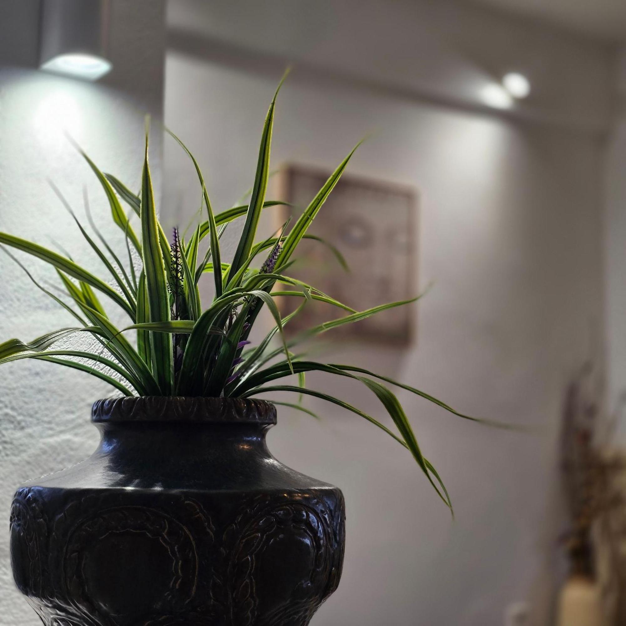 Maronia Villa 외부 사진